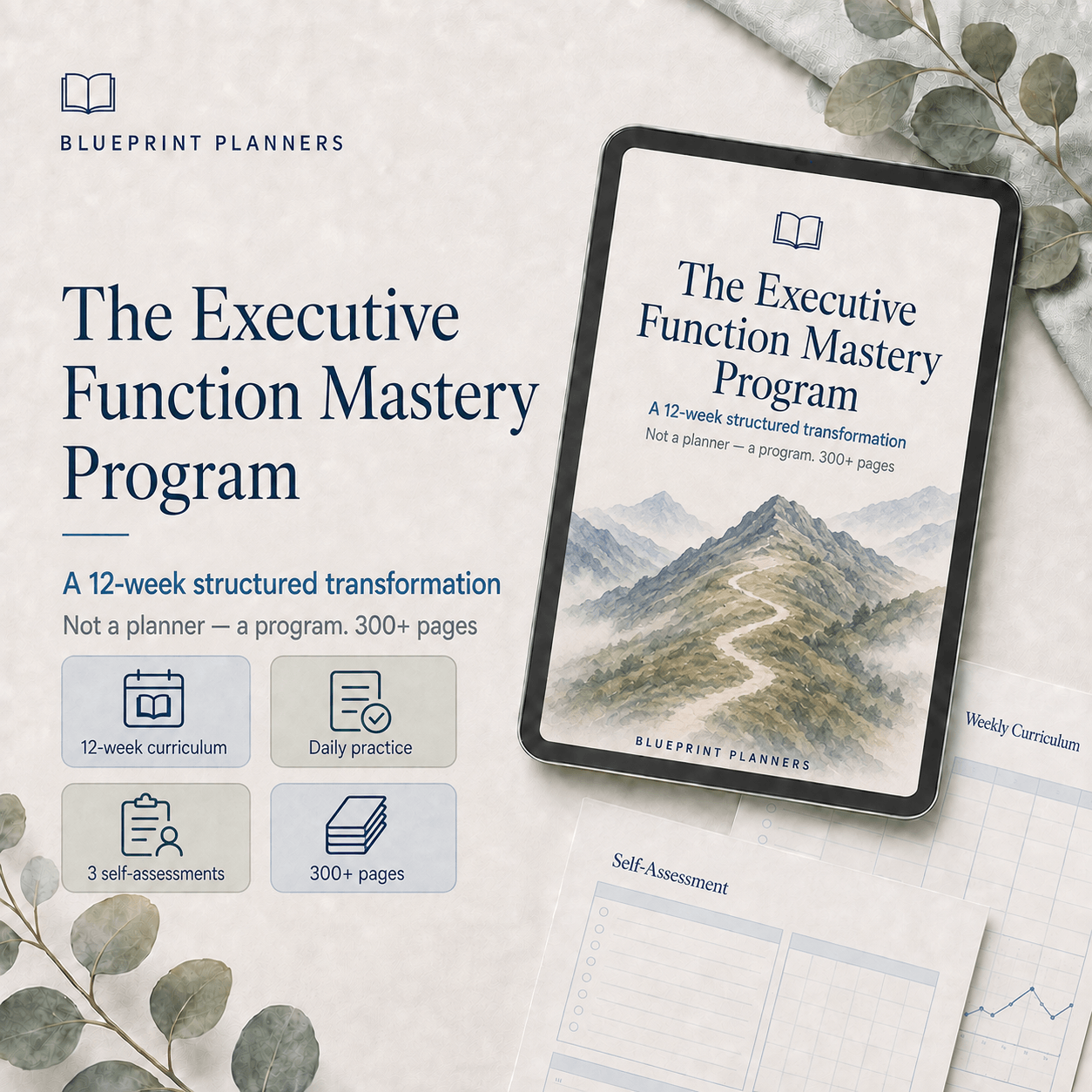 The Executive Function Mastery Program