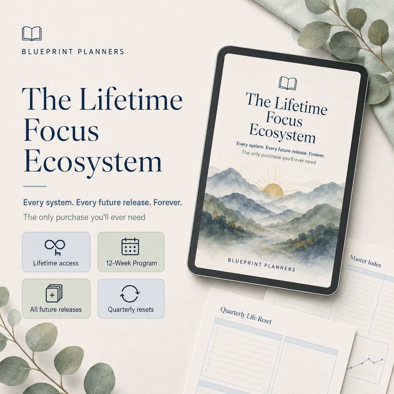 The Lifetime Focus Ecosystem